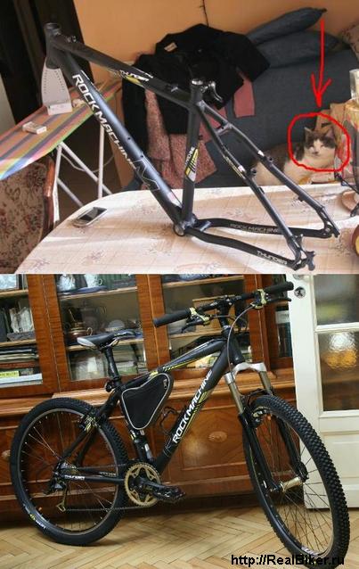 Size: 55.1 Kb, 403 x 638, ???? Rock Machine