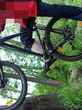 Size: 2.2 Kb, 82 x 110, ?????? ?????? Norco RIVAL 2006