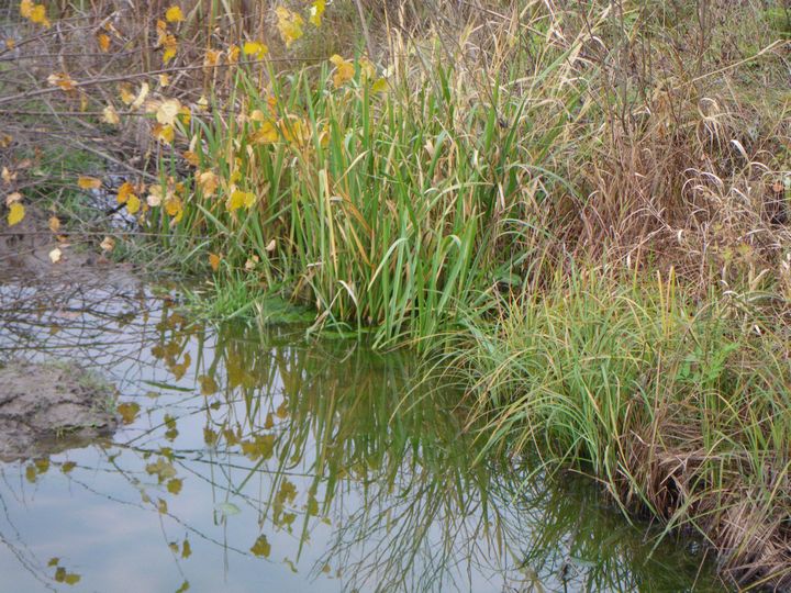 ����� � ���� ��� ������.