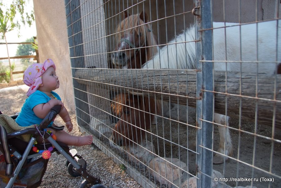 Camel Park  . .