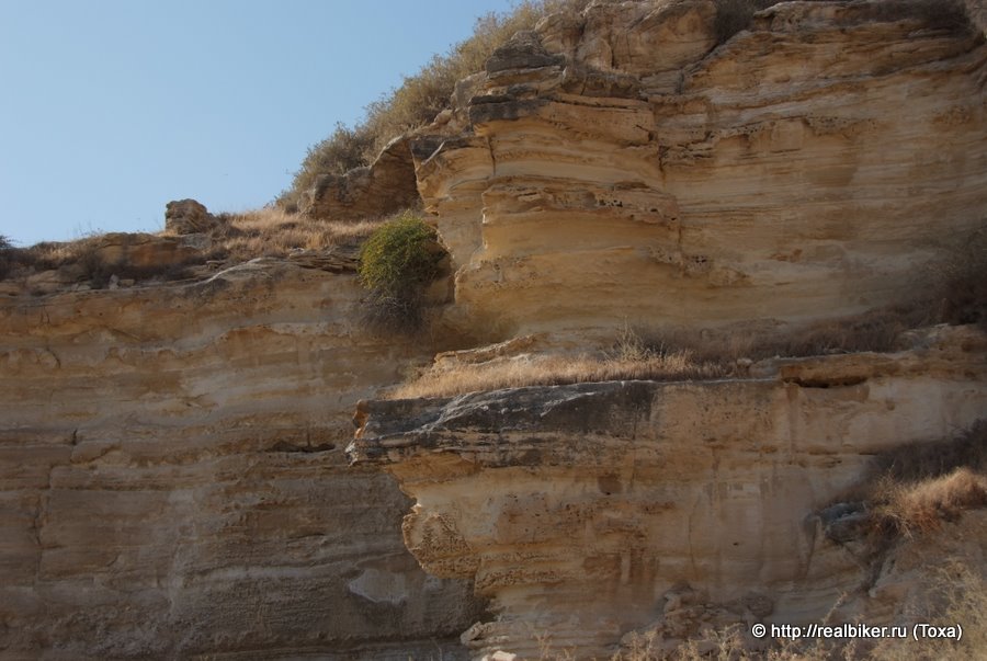   (Kourion).  .