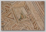Раскопки Курион (Kourion). мозаика на полу